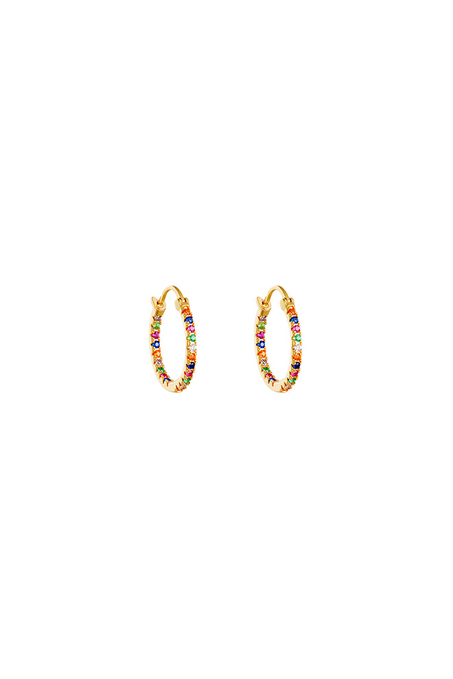 Smalle gold plated Zirkonia oorringen